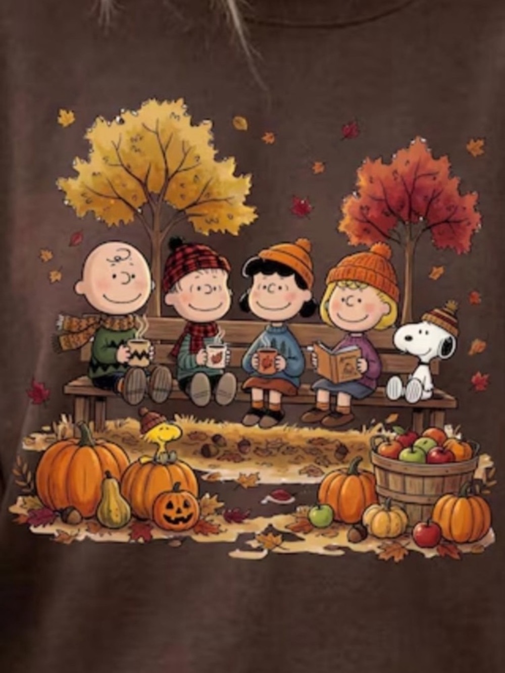 Dark Chocolate Peanuts Fall Characters Sweatshirt - Picture 2 of 3